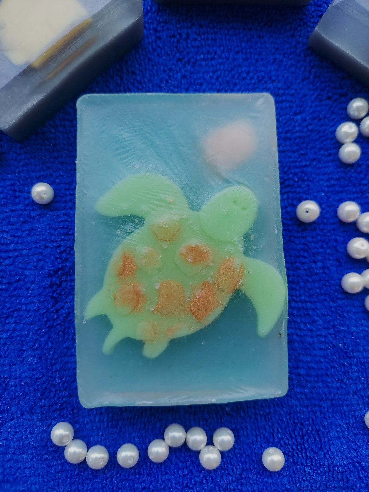 The Sea Turtle Adventure Bar
