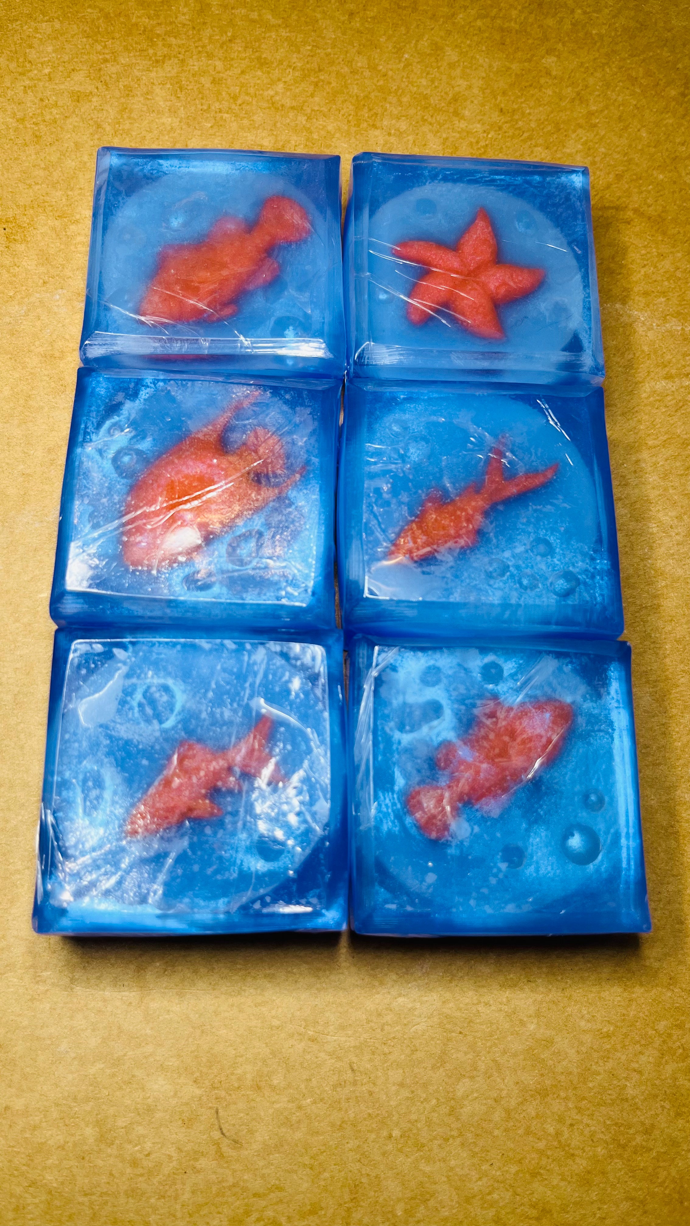 Ocean Depths Discovery Set